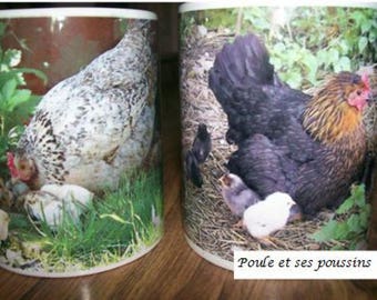 2 Mugs with photo of a hen with chicks