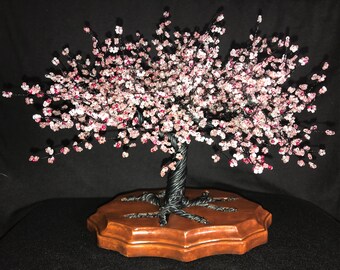 Cherry blossom tree