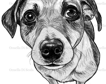Customl drawing pet portrait dog