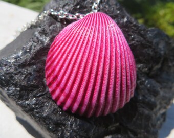 Fuchsia Shell Necklace