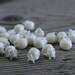 Hand Carved Bone Skull Carving Set 0f 5 Artisan Beads Organic Jewelry Supply B464