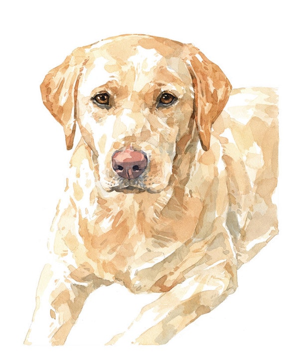 Yellow Lab Watercolor Limited Edition Print labrador Yellow Lab Watercolor Limited Edition Print labrador