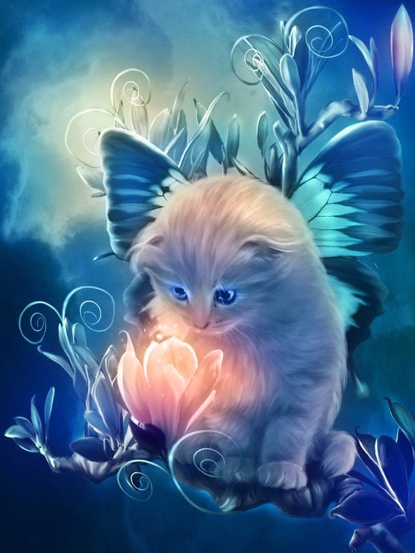 the kitten fairy