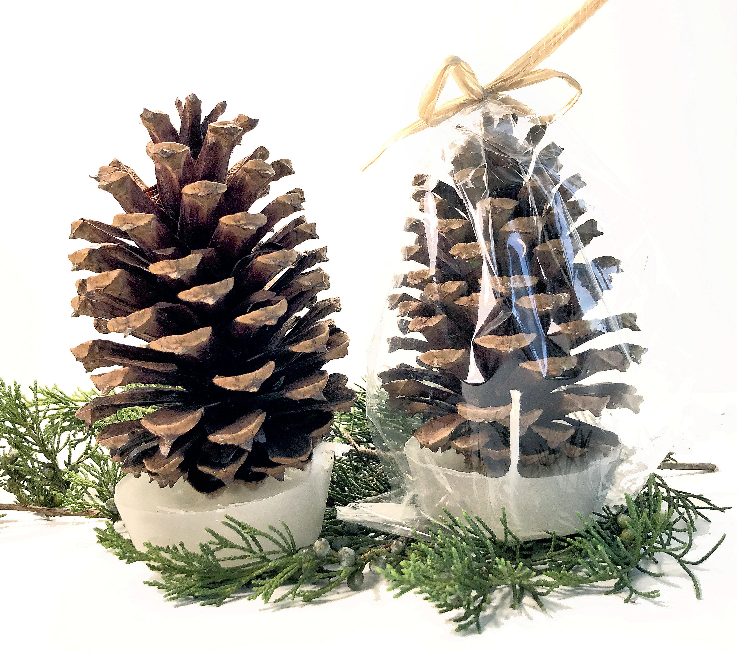 Download 25 Pine Cone Fire Starter Christmas Party Favors Holiday