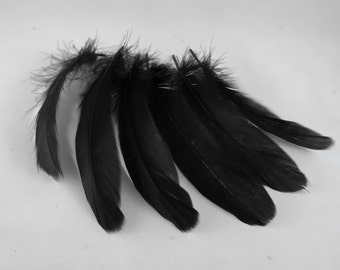 black Goose Feathers Shoulders 6 smudge feathers