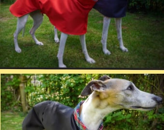Whippet and Greyhound cotton lined summer raincoats.