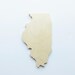 Illinois Wood State - Birch Plywood - Wood State - 12"