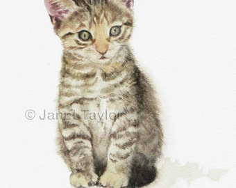 Kitten painting: Print of watercolour painting by Jan Taylor.