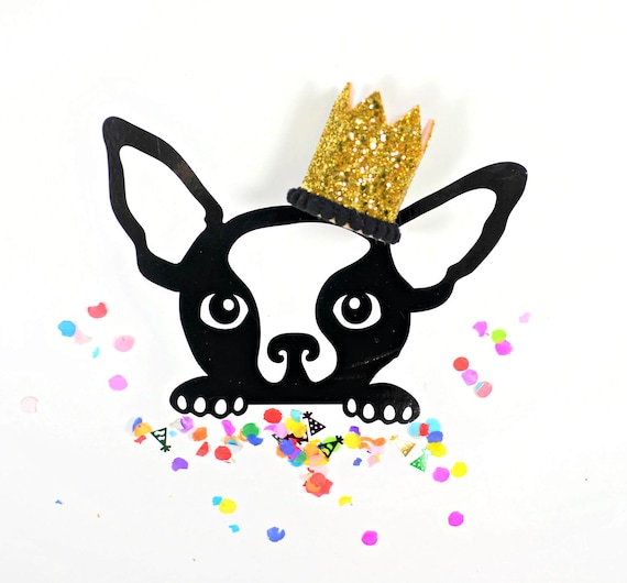 Mini Birthday Crown || Animal Birthday Hat || Dog Hat || Dog Crown || Dog Birthday Crown || Dog Birthday Hat