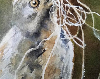 Bird Collared Palm Thrush South African ACEO Art Original Painting miniature art watercolor