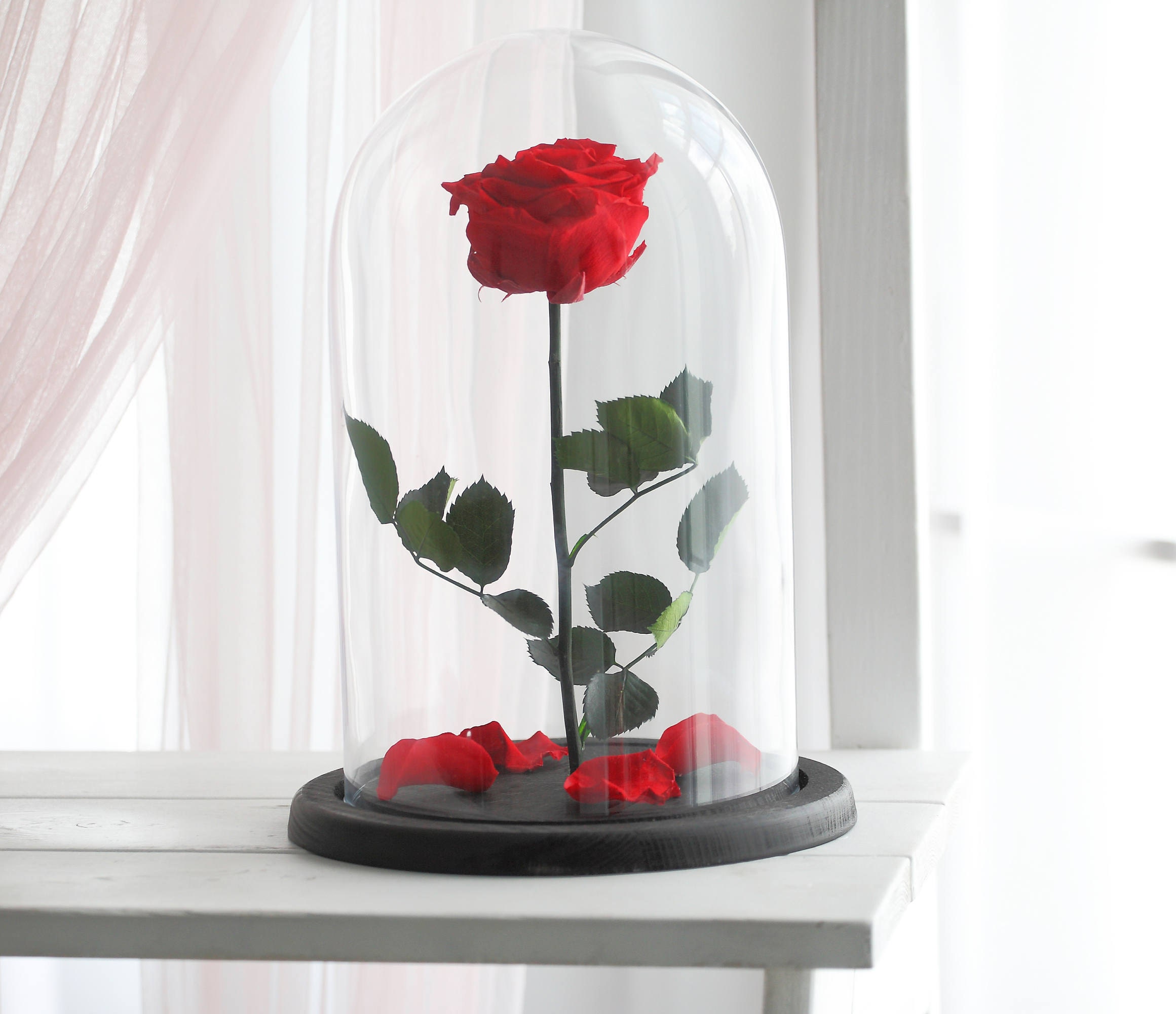 Beauty and the beast rose Large Enchanted Rose Rose in