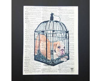 Cute Pug in Cage on Vintage Dictionary Page Art Print, Wall Decor, Digital Manipulation with Sparks of Glitter,