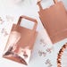 Party Bags | Rose Gold Party Bags | Baby Shower Bags | Paper Bags | Wedding Favour Bag | Treat Bags | Favour Bags | Rose Gold Bags | 5 Pack