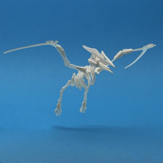 tiny pterodactyl