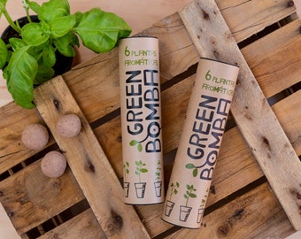 6 aromatic herbs' seed bombs