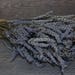 Dried Grosso Lavender | 50 Stems Lavender | Lavender Bunches | Lavender Stems | Wedding Bouquets | Wedding Decor | Shower Decor