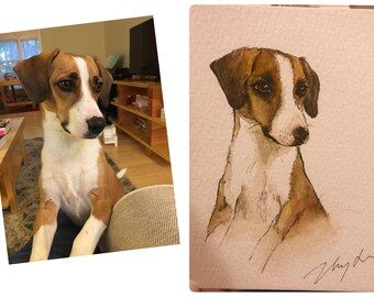 Custom Pet Watercolor Portrait