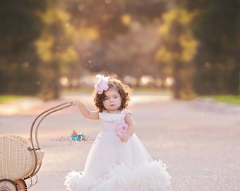 Cute Baby Silk Bodice Feather Dress
