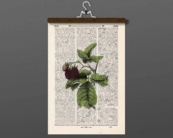 Pressure - raspberry - antique book page