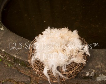 White Nest Digital Backdrop