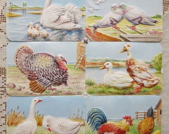 EAS Vintage Germany Birds Lithographed Die Cut Paper Scraps EAS 3112
