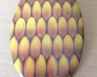 magnets / Fridge Magnet: "lemons"