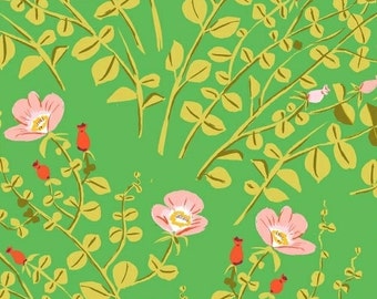 Heather Ross Briar Rose for Windham Fabrics - Nanny Bee Green - 1/2 yard cotton quilt fabric 516