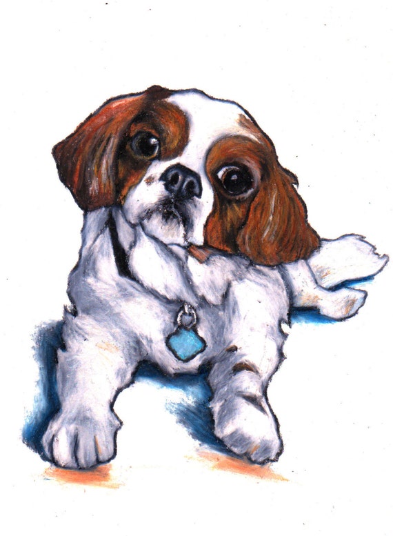 Cavalier King Charles Spaniel custom drawing commission a