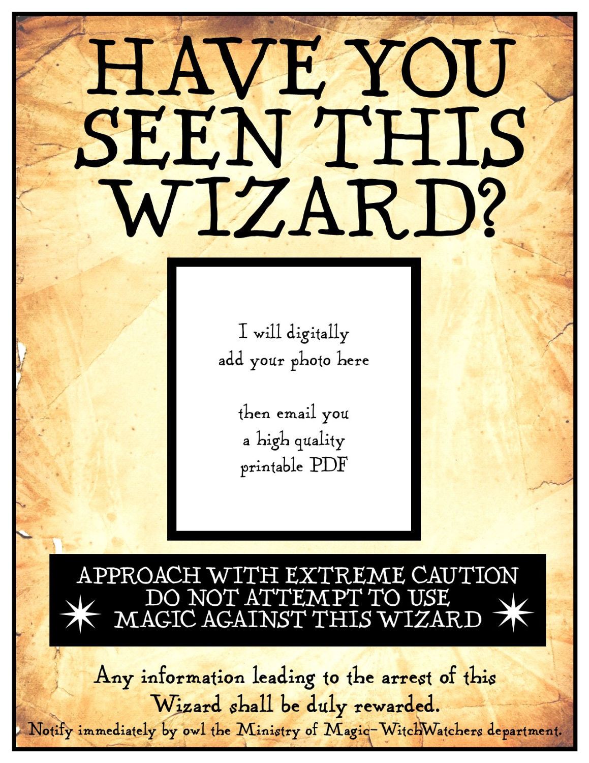 Have You Seen This Wizard 8 1/2 x 11 inch digital PDF