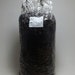5lbs Sterilized Compost