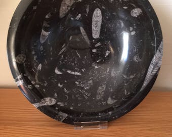 Large Fossil Orthoceras Bowl/Dish,Fossils