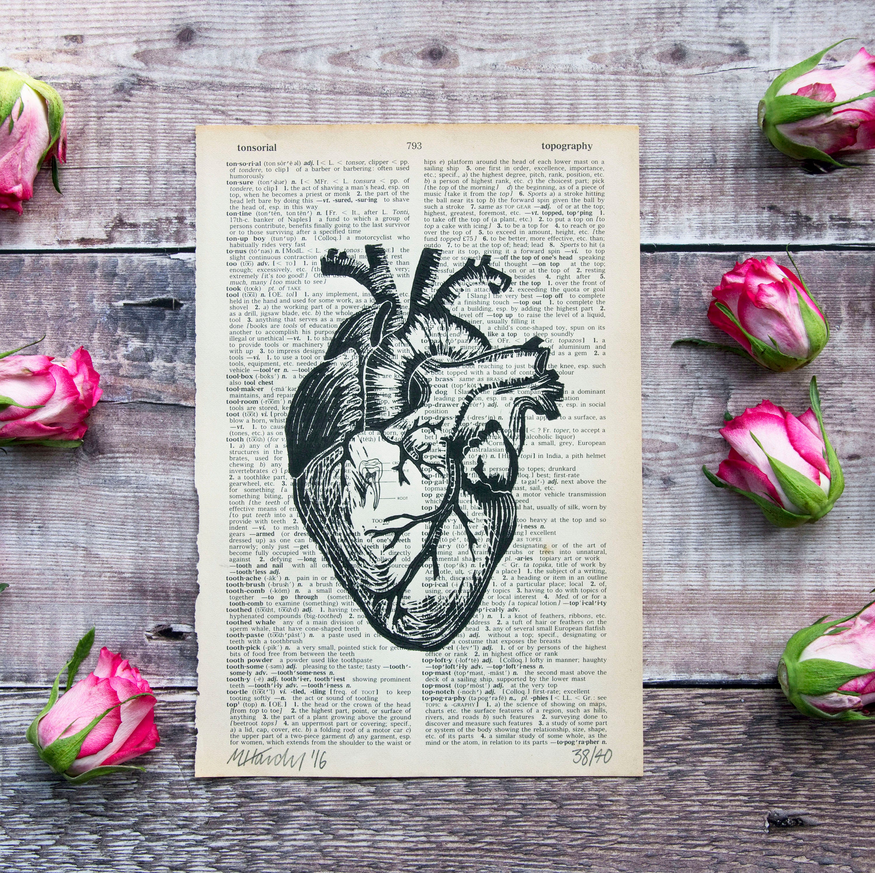 Anatomical Heart Lino Cut Print on a Vintage Dictionary Page
