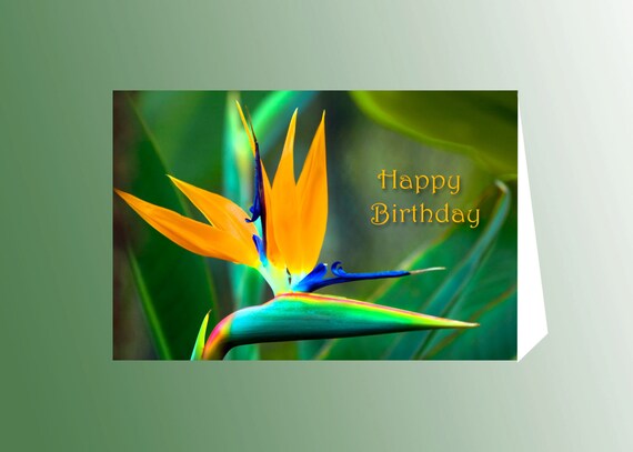 Items similar to Happy Birthday, Birthday, Card for Friend, Birthday