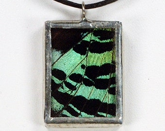 Real Butterfly Necklace - Madagascar Sunset Moth (Top Wing) - Glass And Lead Free Solder