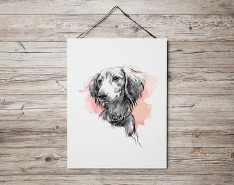 Custom Pet Portrait, Pencil Digital Dog Drawing, Animal Sketch Illustration, Pet Memorial Portrait, Dog Gift, Cat Owner Gift, Dachshund