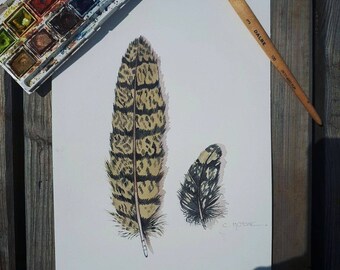 Watercolor feathers / Original watercolor feather