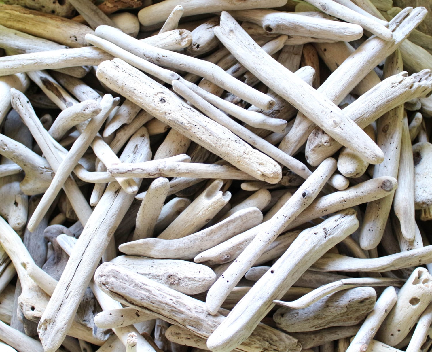 100 Small Driftwood Pieces Bulk Driftwood Supply From
