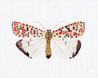 Original watercolor painting - Butterfly - Home decor - decoration
