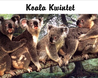 Koala Fridge Magnet 7cm by 4.5cm, Koal Kwintet