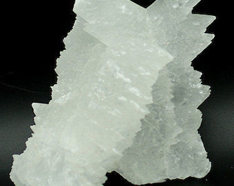 Two Intergrown 'Fishtail' Selenite Crystals - Mineral Specimen for Sale