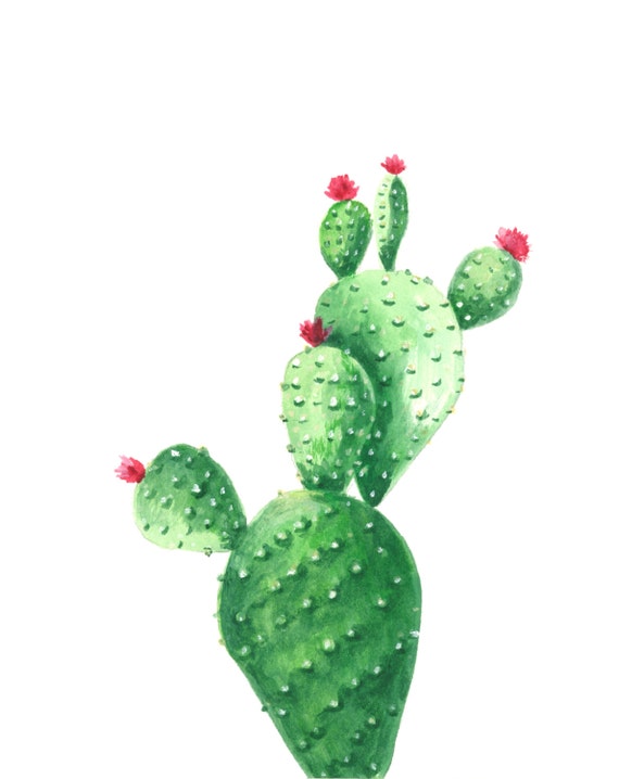 Cactus watercolor print Cactus watercolor painting Cactus