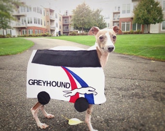 Cane & Co. Greyhound Bus Halloween Costume