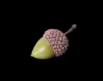 Summer Acorn Pin Brooch