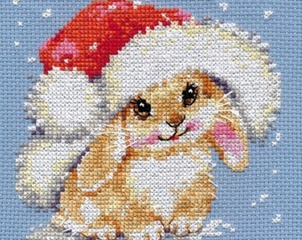 Cross Stitch Kit beginner Children / Christmas