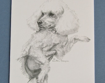 Poodle note cards, set of 6 with envelopes, direct from artist