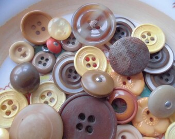 Vintage Button Collection