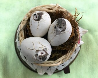 Baby Owls Hatching in Nest Vintage Music Box