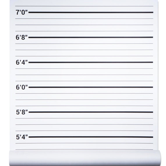 Mugshot Backdrop LARGE Height Chart Poster Crime Scene