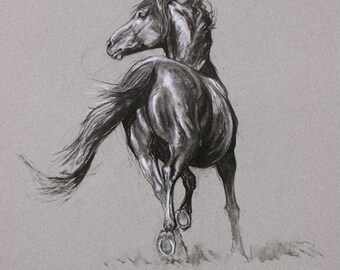 Original horse art equine art energy and movement equine horse charcoal and chalk movement art drawing 'Attitude II' by H Irvine
