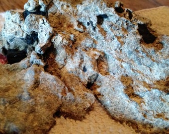 Last one Glacier Deposit Gold Paydirt Concentrates 12 oz from Vermont
